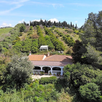 Immobilien zum Verkauf in San Martín del Tesorillo