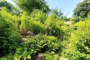 Charmante Gartengeschosswohnung mit Terrasse, Garten und zwei Garagen – Die vollständige Adresse der Immobilie erhältst du vom Anbieter., 45239 Fischlaken, Essen – Vorschaubild 10