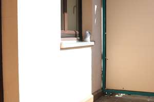 Sanierte 3-Zimmer-Wohnung mit Balkon im 4. OG in Magdeburg-Buckau – Südstraße 6, 39104 Buckau, Magdeburg – Vorschaubild 19