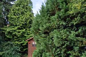 Reiheneck-Haus von Privat, 357m² Grundstück, in Schwalbach am Taunus, OT Limes, BJ 1969, Fernwärme – Mecklenburger Straße 62, 65824 Main-Taunus-Kreis – Vorschaubild 5
