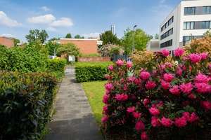 D-Heerdt: Erbpacht, Reihenmittelhaus, EBK, Sonnengarten, Garage & Stellplatz – PROVISIONSFREI – Die vollständige Adresse der Immobilie erhältst du vom Anbieter., 40549 Heerdt, Düsseldorf – Vorschaubild 25