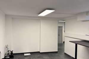 Vollvermietetes Anlageobjekt - MFH mit 373m² Gewerbefläche & 520m² WF in zentraler Lage von Sinsheim – Hauptstraße 101, 74889 Sinsheim – Vorschaubild 18