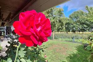 Property thumbnail 34