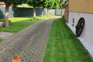 Einziehen und wohlfühlen – Attraktives Einfamilienhaus mit traumhaften Garten – Die vollständige Adresse der Immobilie erhältst du vom Anbieter., 14476 Fahrland, Potsdam – Vorschaubild 7