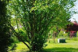 Charmantes Einfamilienhaus mit großem Garten in Schlossvippach – Wohnen mit Wohlfühlfaktor! – Am Weinberg 26, 99195 Sömmerda (Kreis) – Vorschaubild 17