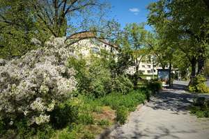 Hell, modern und gemütlich am Roseneck – Hohenzollerndamm 74, 14199 Schmargendorf, Berlin – Vorschaubild 9