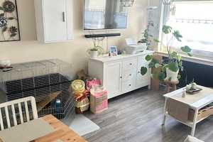 Freundliche 2-Zimmer-Erdgeschosswohnung in Solingen - Mitte – Solingen – Vorschaubild 2