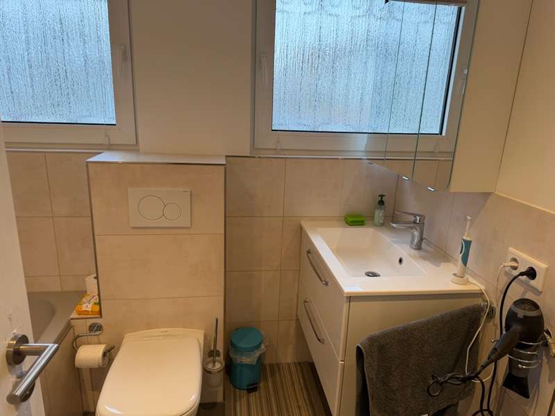 Immobilie in Biebesheim - Zweifamilienhaus in solider Bausubstanz mit großem Grundstück - Bild 2