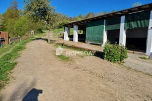 Reiterparadies am Steigerwald – saniertes Bauernhaus mit  Offenstallanlage und Ausbaureserve – Die vollständige Adresse der Immobilie erhältst du vom Anbieter., 96181 Rauhenebrach – Vorschaubild 11