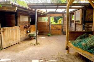 Einfamilienhaus mit Stallungen in Laubach-Münster – Die vollständige Adresse der Immobilie erhältst du vom Anbieter., 35321 Laubach – Vorschaubild 9