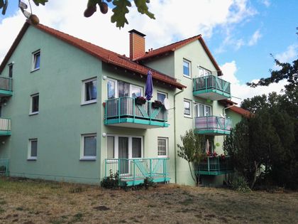 Single wohnung potsdam
