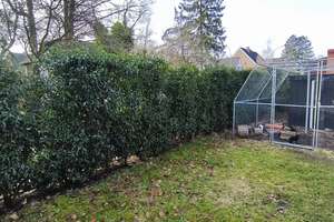 Property thumbnail 23