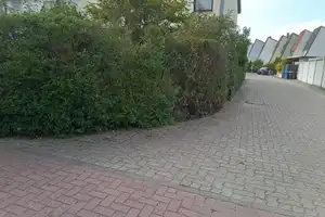 Vielseitiges Reihenendhaus mit Garten in Ludwigshafen-Oggersheim – Ludwigshafen am Rhein – Vorschaubild 6