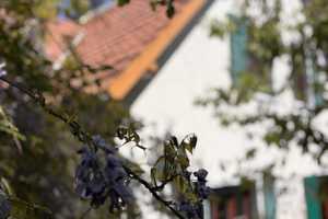 Individuelles Traumhaus mit Charme, Gartenidylle & vielen liebevollen Details – Limburg-Weilburg (Kreis) – Vorschaubild 9
