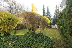 Schwabing-Olympiapark schö., helles, ruhig 1 Zi.  Balkon,Designb, EBK, saniert!!  ab sofort – 80809 Am Luitpoldpark, München – Vorschaubild 9