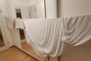 Charmante 1-Zimmer Wohnung im 2. OG in München-Moosach – Riesstraße 65, 80992 Alt-Moosach, München – Vorschaubild 3