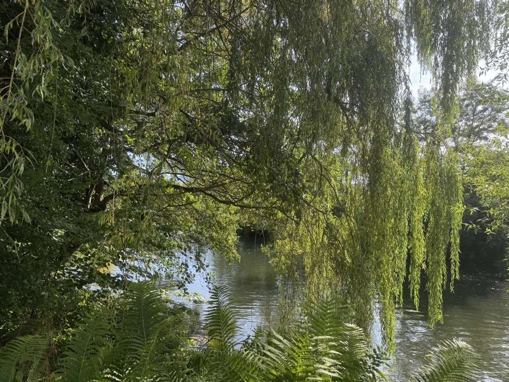 Immobilie in Philippsthal - Philippsthal, 2 Familienhaus - Bild 4