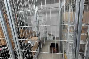 Lichtdurchflutetes Wohnglück: 2-Zimmer-Wohnung mit vollverglastem Erker & Tageslichtbad – Brüggemannstraße 4, 52072 Ponttor, Aachen – Vorschaubild 11