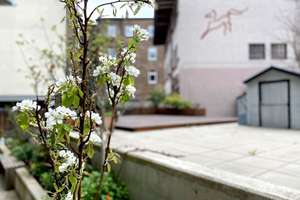 Townhouse-Wohnung Neckarstadt-Ost / Terrasse und Gartennutzung / 2 Balkone / Perfekt für Familien – Die vollständige Adresse der Immobilie erhältst du vom Anbieter., 68167 Neckarstadt-Ost/Wohlgelegen, Mannheim – Vorschaubild 25