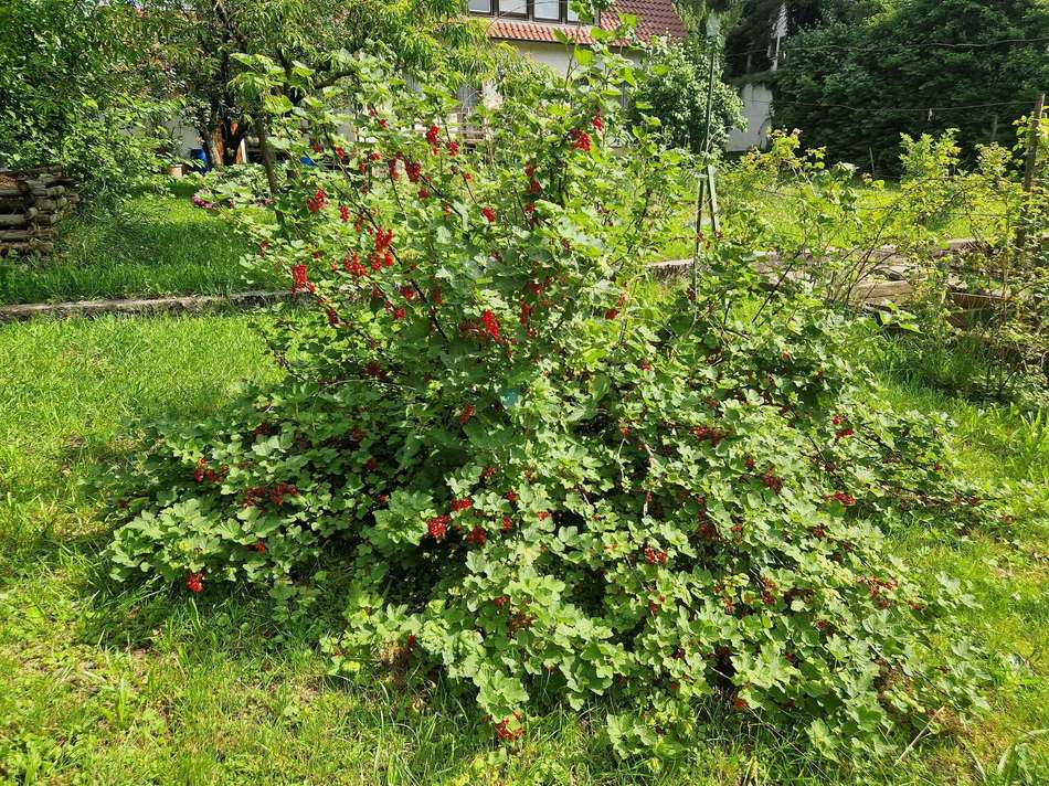 Erntezeit