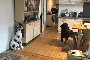 Chice, kernsanierte Altbauwohnung in herrschaftlichem saniertem Wohnhaus! – Mannheim – Vorschaubild 1