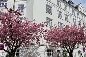 Stilvolle Eigentumswohnung im Herzen von Hamburg-Ottensen – Die vollständige Adresse der Immobilie erhältst du vom Anbieter., 22763 Ottensen, Hamburg – Vorschaubild 25
