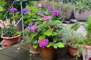 Property thumbnail 17