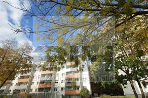 Charmantes Investment 