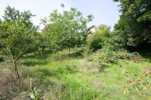 Einfamilienhaus mit riesigem Potenzial und Gartenparadies in Gemmingen – Die vollständige Adresse der Immobilie erhältst du vom Anbieter., 75050 Gemmingen – Vorschaubild 26