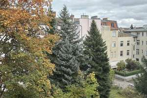 Bezugsfreie, helle 2-Zimmer-Wohnung mit Südbalkon in ausgezeichneter Wohnlage von Steglitz! – Flemmingstraße 7, 12163 Steglitz, Berlin – Vorschaubild 23