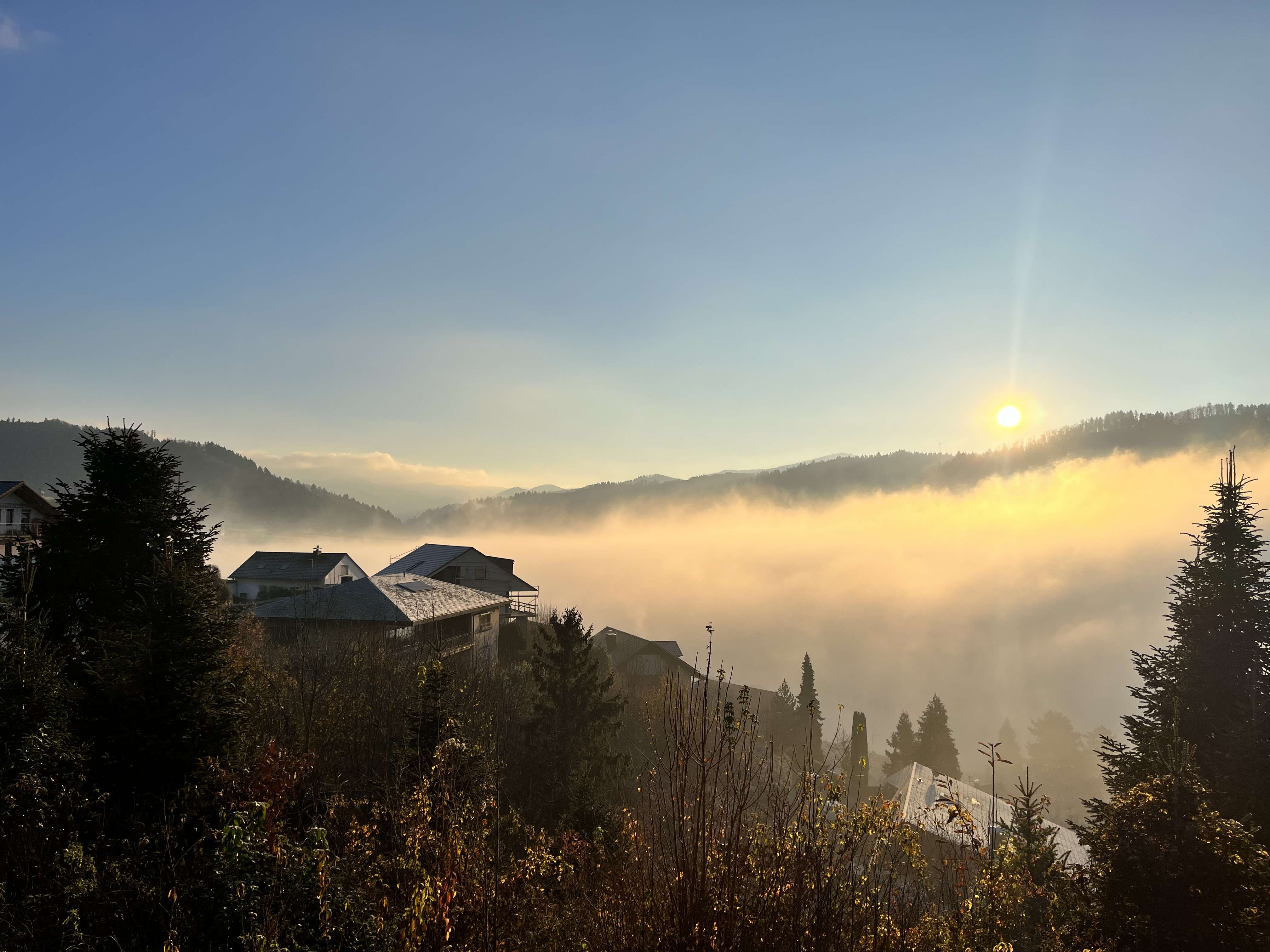 Barrierefreies 4-Zimmer Erdgeschoss-Apartment mit Garten in Fischerbach, Ortenaukreis – Bild 3