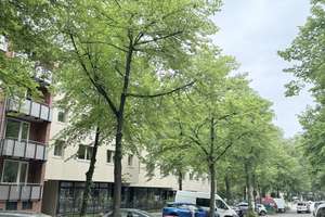 Zuhause mit 3 Zimmern in Hamburg Eimsbüttel – Eimsbütteler Straße 88, 22769 Eimsbüttel (Ortsteil), Hamburg – Vorschaubild 6