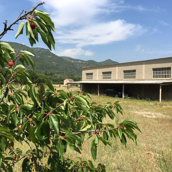 Vilaverd, großes, rustikales Anwesen mit Haus, Pool und großem Lagerhaus