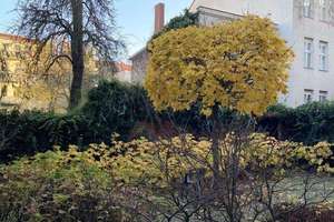 "Grand Belvedere": Stilvolle 2-Zimmer-Wohnung mit sonnigem Wintergarten (vermietet) – Kopernikusstraße 1, 14482 Babelsberg Süd, Potsdam – Vorschaubild 13