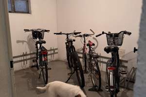 Property thumbnail 14