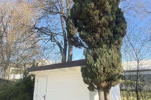 Geräumiges 7-Zimmer Haus in München-Perlach – Die vollständige Adresse der Immobilie erhältst du vom Anbieter., 81739 Neuperlach, München – Vorschaubild 8