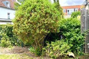 Erdgeschoss mit Garten und TG-Stellplatz in ruhiger Lage – Die vollständige Adresse der Immobilie erhältst du vom Anbieter., 90449 Röthenbach Ost, Nürnberg – Vorschaubild 4