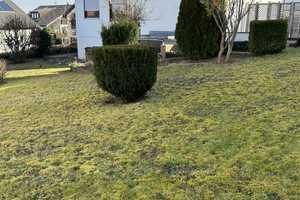 Einfamilienhaus mit Garage und Garten – Reutlingen (Kreis) – Vorschaubild 6