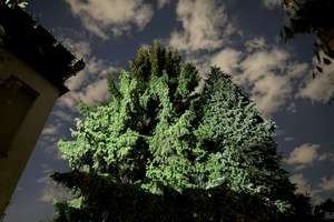 Property thumbnail 17