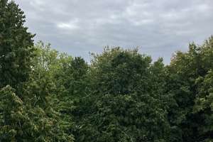 Ihr neues Zuhause in Salzgitter – Weitblick, Gäste-WC, bequeme Parkplätze – 38228 Lebenstedt, Salzgitter – Vorschaubild 12