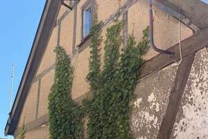 Kompaktes Altstadtgrundstück mit Abriss-/Sanierungsobjekt in Neustadt-Glewe – Große Wallstraße 33, 19306 Neustadt-Glewe – Vorschaubild 10