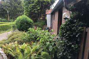 Viel Freiraum: Großzügiges Bauernhaus in Oldenburg-Osternburg – Die vollständige Adresse der Immobilie erhältst du vom Anbieter., 26135 Drielaker Moor, Oldenburg (Oldenburg) – Vorschaubild 5