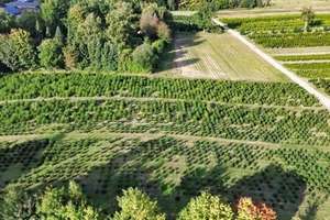 Property thumbnail 29