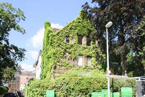 Großzügige 4-Zimmer-Wohnung mit eigenem Garten im Östlichen Ringgebiet! – 38102 Östliches Ringgebiet, Braunschweig – Vorschaubild 13