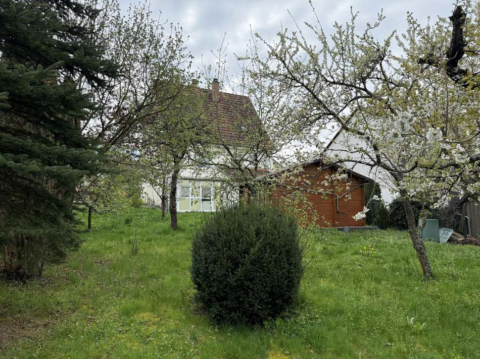 Garten mit Haus