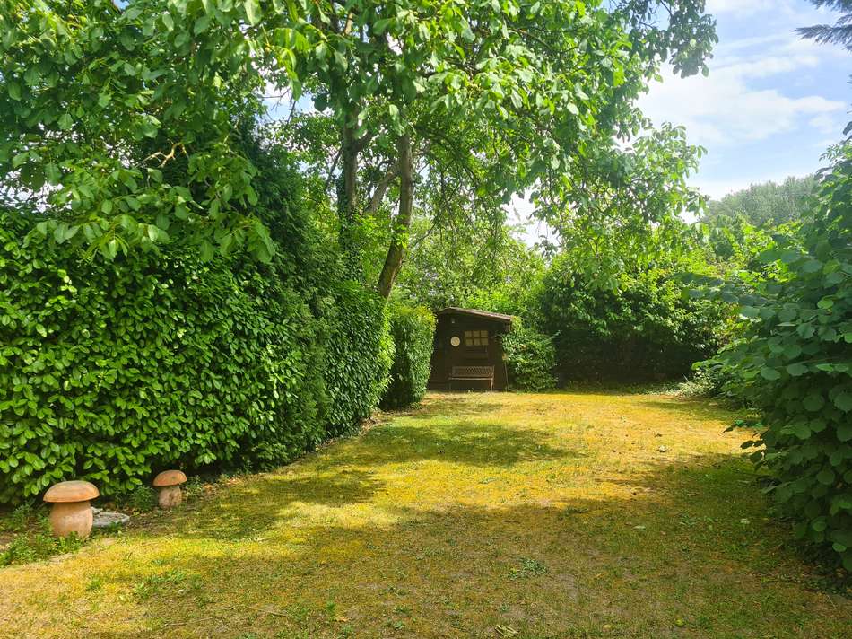 Garten 1