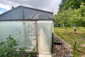Familienglück! Ein/Zweifamilienhaus in Kalletal mit großem Garten, Sauna und Kamin für die Familie – Die vollständige Adresse der Immobilie erhältst du vom Anbieter., 32689 Kalletal – Vorschaubild 24