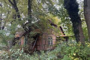 Charmantes Fachwerkhaus im Grünen – Geschwister-Scholl-Straße 18, 19249 Lübtheen – Vorschaubild 2