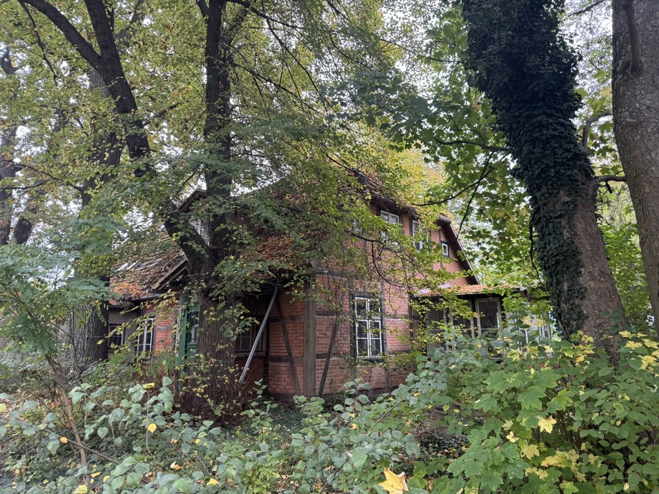 Charmantes Fachwerkhaus im Grünen, Ludwigslust Parchim Kreis – Bild 4