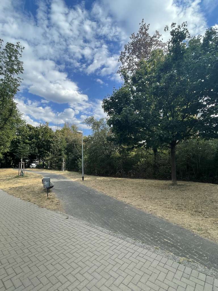 Immobilie in Sankt Augustin - SANKT AUGUSTIN, TOLLE 3-Zi. Whg im 12. OG, ca. 80 m² Wfl, Diele, Duschbad, Balkon, Außen-Stellplatz. - Bild 1